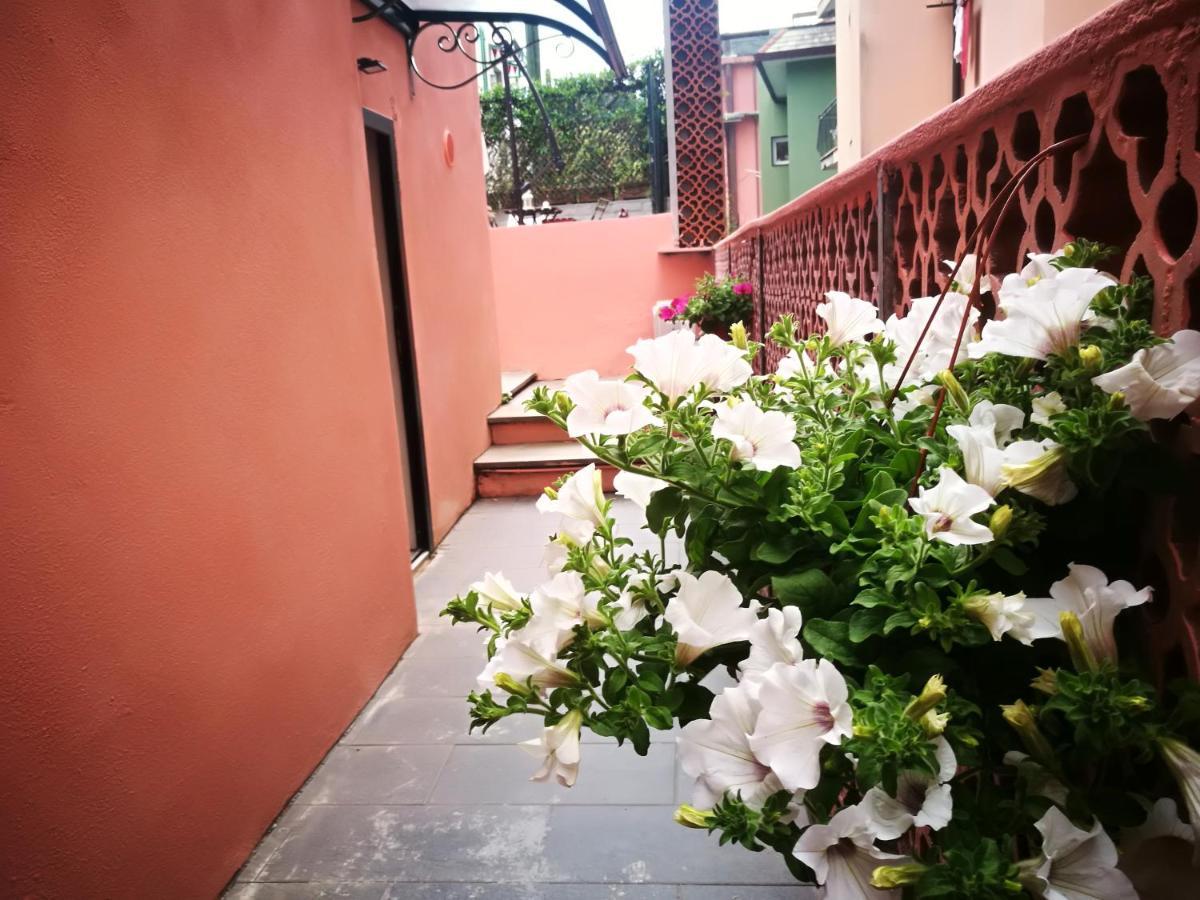 מלון מונטרוסו אל מארה Pink House Garden מראה חיצוני תמונה