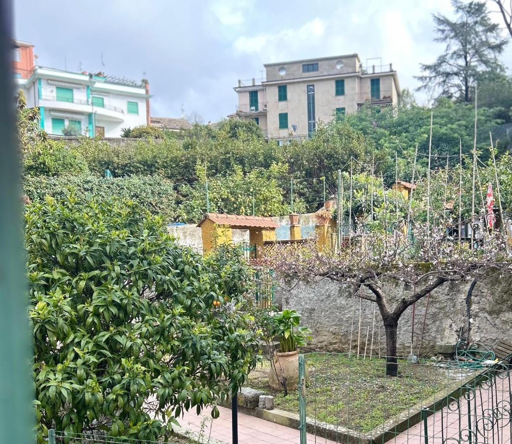 מלון מונטרוסו אל מארה Pink House Garden מראה חיצוני תמונה